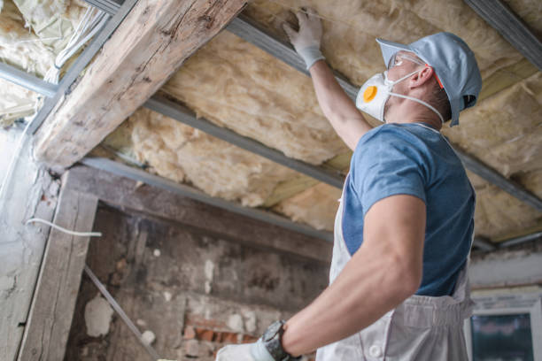 Best Cellulose Insulation  in West Wyoming, PA