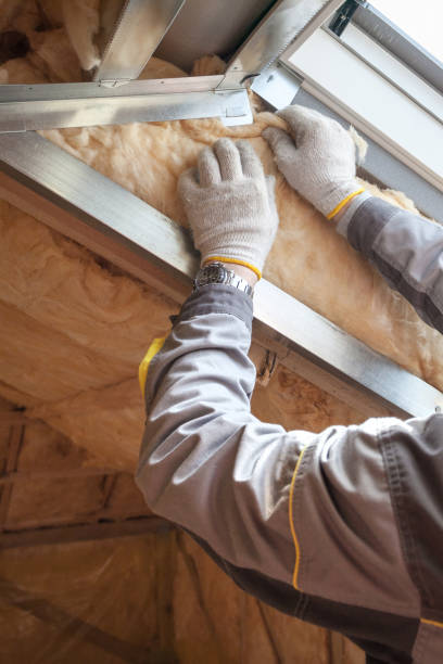 Best Insulation Replacement Services  in West Wyoming, PA