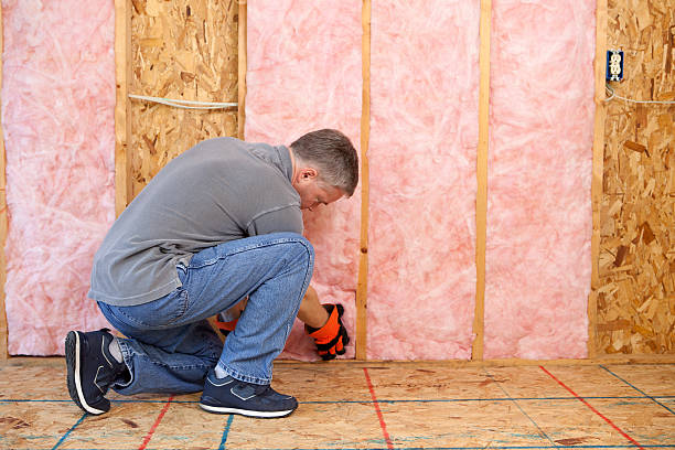 Trusted West Wyoming, PA Insulation Contractor Experts